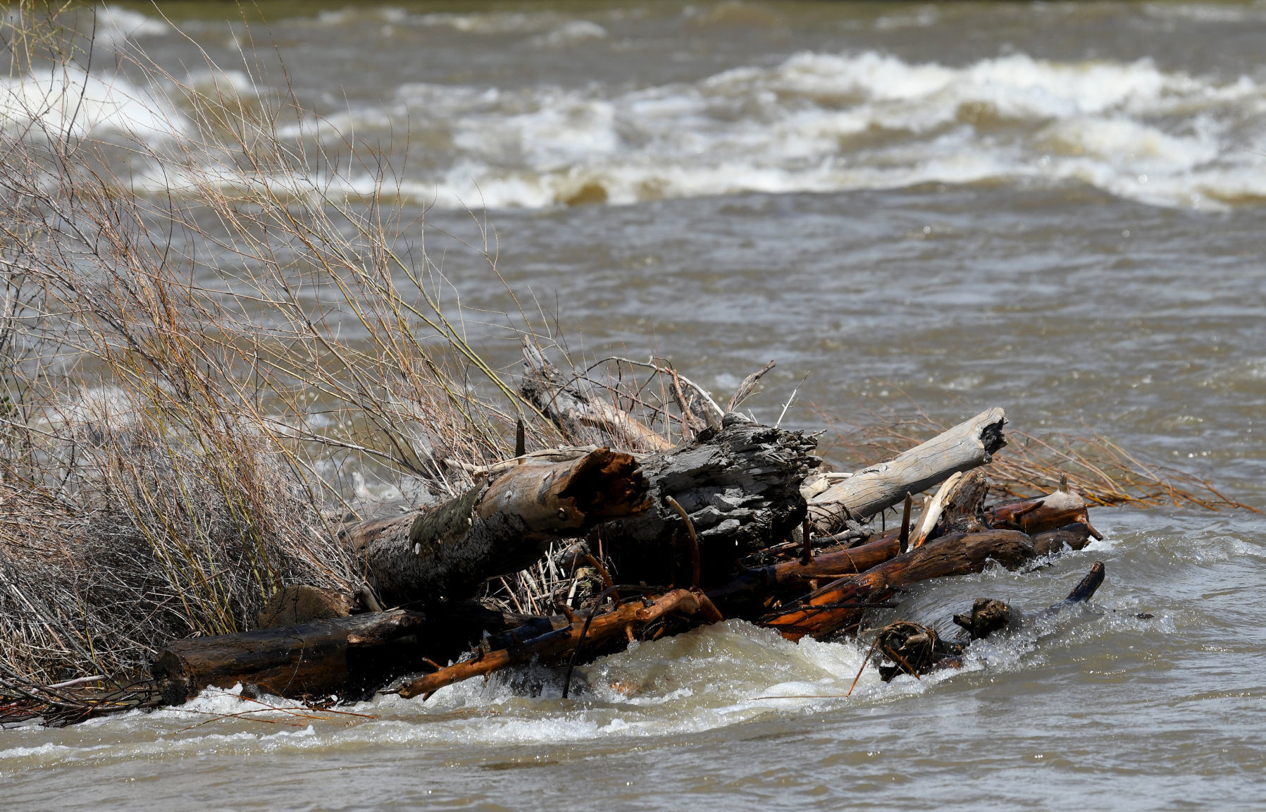 High water